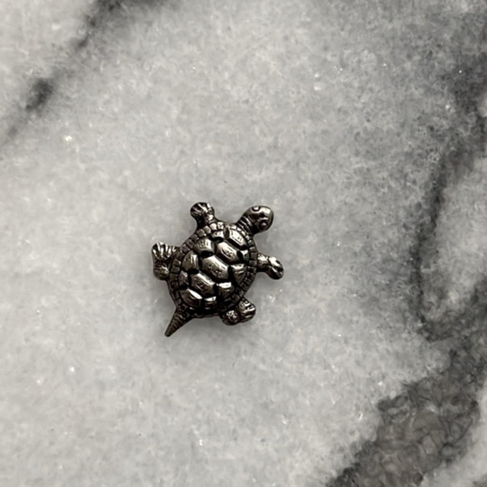 🌹FREE w/purchase 100% brass turtle mini silver plated turtle